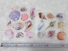 Item thumbnail for item 385521e4-9fe6-476a-b8ac-782caf5ab2d5