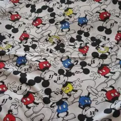 ～ムクのしっぽ～犬服休止m(__)m様 リクエスト 2点 まとめ商品