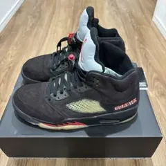 Nike Air Jordan 5 Retro GORE-TEXのサムネイル