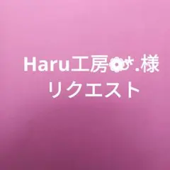 Haru工房❁⃘*.゜プロフ必読⚠️様 リクエスト 2点 まとめ商品