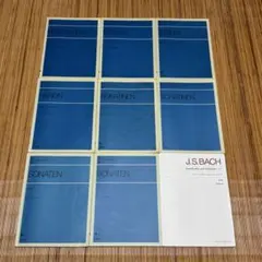 Item thumbnail for item 59c5d497-c3cd-45a6-834c-3cf9a9aa11cb