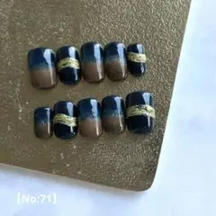 SALE売り尽くし価格【No:71】ハンドネイルチップ