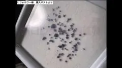 ミチミユ様 リクエスト 2点 まとめ商品