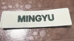 SEVENTEEN セブチ ミンギュ ワッペン 新品未開封 2025年最新】seventeen ワッペン ミンギュの人気アイテム - メルカリ