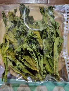 Item thumbnail for item f872c8af-038f-4312-a821-25a34a148d38