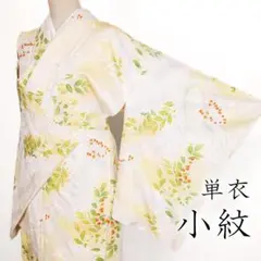 R8SK445 小紋 単衣 手描き友禅 草花 植物 シルク 淡い黄色 着物