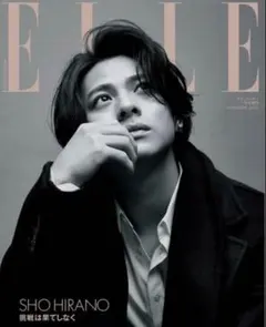 Item thumbnail for item 82133517-75a1-4356-87ca-b416efc3b22c