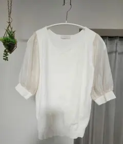 【出品4月中旬まで】anysis Vネック半袖トップス