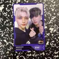 straykidsスキズ　フィリックス　チャンビン　ユニットトレカ