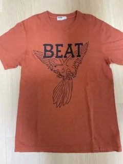 新品】THE BACILLUS BRAINS(日本脳炎)Tシャツ 150サイズ - メルカリ