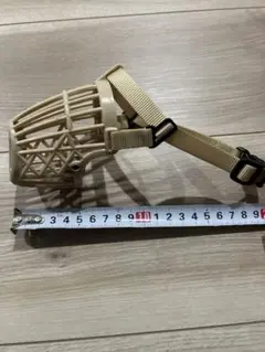 Item thumbnail for item 51ea8f8c-ebe3-49c0-be50-01c4215b1965