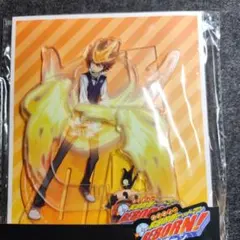 家庭教師ヒットマンREBORN! 中国限定 沢田綱吉 アクリルスタンド