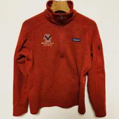 極美品⭐️希少patagonia ハーフジップ ベターセーター　ボストンカレッジ