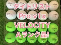 タイトリストのロストボール20球Ａランク品！