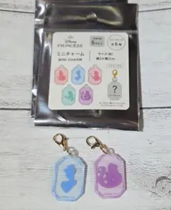 ディズニー プリンセス ミニチャーム シンデレラ ラプンツェル 2点セット