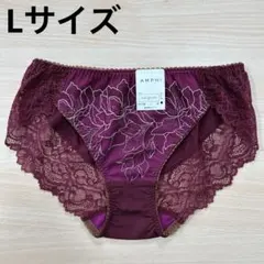 ワコール アンフィ グラマリッチ ショーツ Lサイズ 特別出品 ②のサムネイル