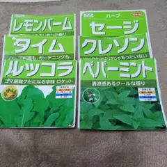 ハーブの種　6種類　　家庭菜園　セージのサムネイル