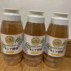 アカシア蜂蜜 300g 3本セットのサムネイル