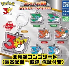 【新品未開封】ポケモン 30周年 メタルチャームマスコット コンプリート
