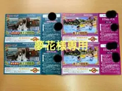 東京サマーランド ご招待券 1Dayパス 2枚 - メルカリ