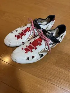 新品未使用】野球 スパイク 29cm すみれスポーツ(ジャガーズ創工