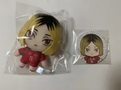 ハイキュー　セガラッキーくじ　孤爪研磨　ぬいぐるみ　缶バッジセット
