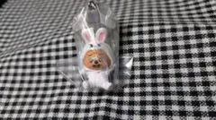 Straykids SKZOO つまんでつなげてますこっと vol2