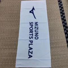 Item thumbnail for item 9e625bd3-a0b1-4b8d-9935-0eec7f40c741