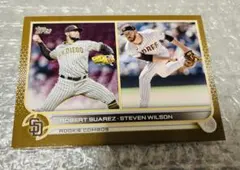 Item thumbnail for item a0e2499b-ffdb-4f21-8671-4786bf6a165c