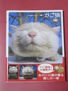 Item thumbnail for item a4d6ec3f-a798-43d4-81a3-3d4295bc0a9a