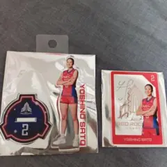 佐藤淑乃 スポーツ選手