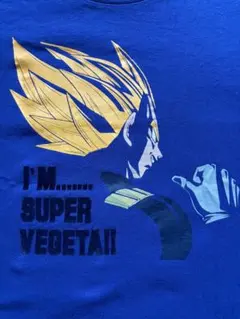 【極稀少/アーカイブ】2009年初期UT ドラゴンボール改 超ベジータ S極美品