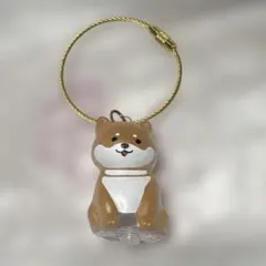 わんこのタイムカプセル　まめ