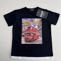 Item thumbnail for item 15d94dcd-96e1-447a-9739-f11aebf0e948