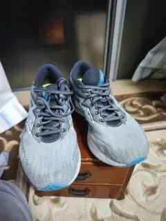 Mizuno Wave Rider 22 グレー スニーカー