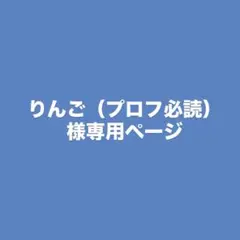 りんご（プロフ必読）様専用ページ