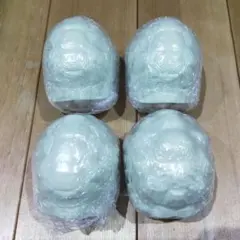 いきもの大図鑑　インドホシガメ(アルビノ)　4点まとめ売り