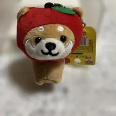 産地直送　旅する豆柴　りんご