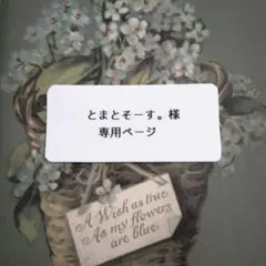 『とまとそーす。様 ＊専用ページ』