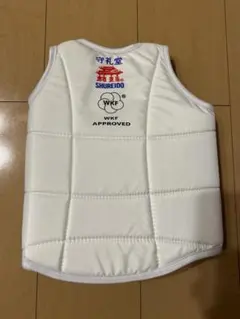 Item thumbnail for item 810adc3b-5e2c-408c-b074-c64d121157e2