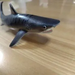 Item thumbnail for item e4e7c9e6-5a6d-44d0-9fbf-b46fdcdf2660