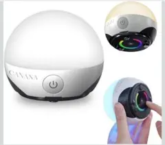 Item thumbnail for item 522f8024-f734-47af-83c3-95f8b6a890e0