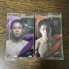 Item thumbnail for item adad610e-b5d0-4a32-bf1e-aeded8949bac