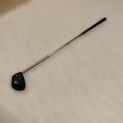 アールイーゴルフ　リバイバープラス