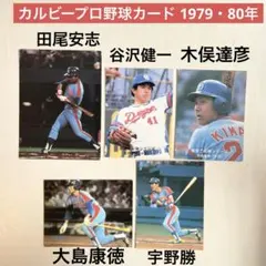 カルビープロ野球カード 中日ドラゴンズ 79 80 田尾 谷沢 木俣 大島 宇野