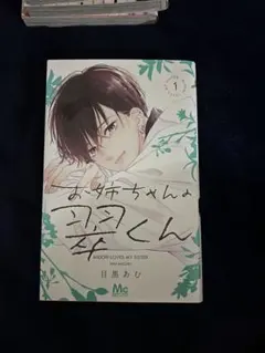 お姉ちゃんの翠くん　1巻