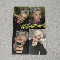 &TEAM MAKI マキ Back to Life トレカ