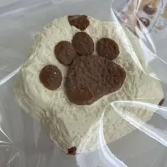 qmii studio 肉球 ブラウン