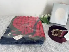 Item thumbnail for item 5768d2ae-732e-4265-865d-a8171f6d697e