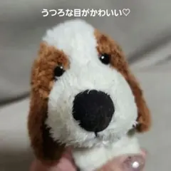 Hush Puppies ぬいぐるみ 犬 バセットハウンドミニのサムネイル
